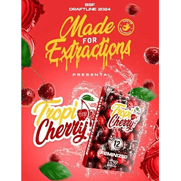 TROPI CHERRY- BSF - 4 Fem