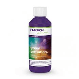 Green Sensation - Plagron 100 ml