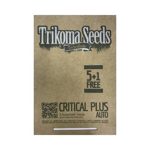 Critical plus -  Trikoma Seeds- 6 Fem