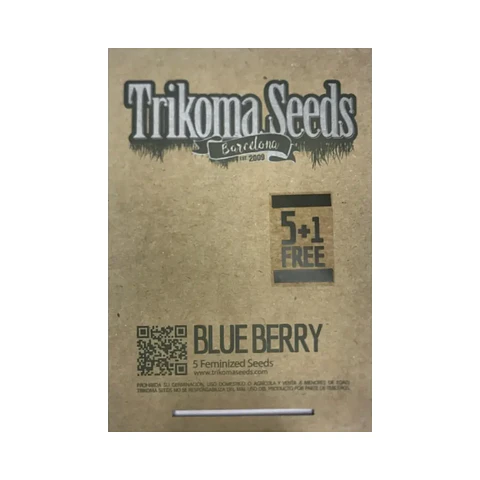 Blue Berry - Trikoma Seeds- 6 Fem