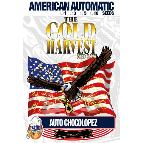 auto chocolopez- Gold harvest - 3 autoFem