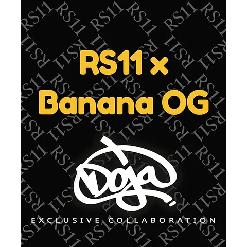 RS11 X BANANA OG - BARNEYS FARM - 3 FEM