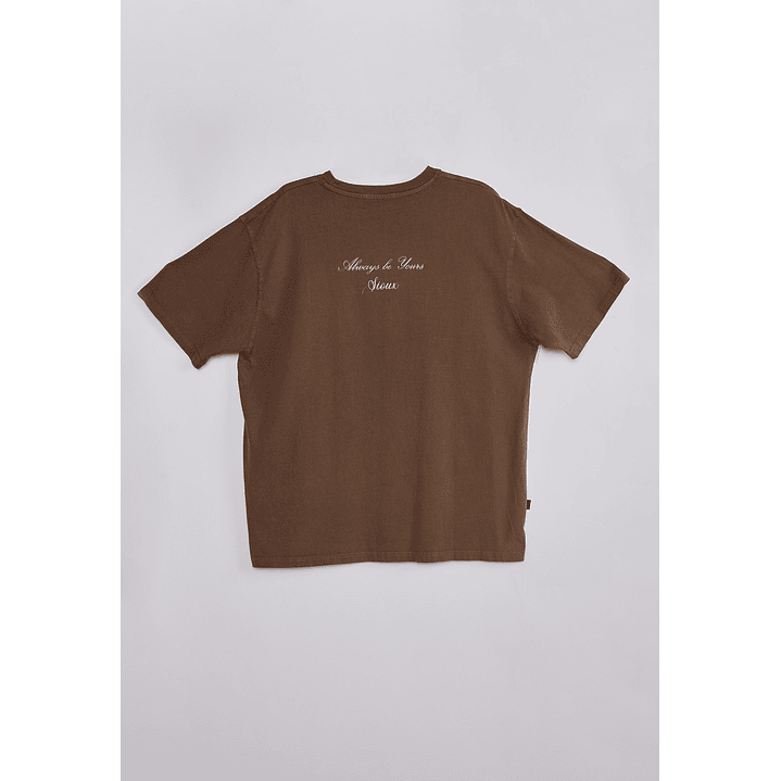 Polera Hombre Lavada Proceso Café Sioux 2