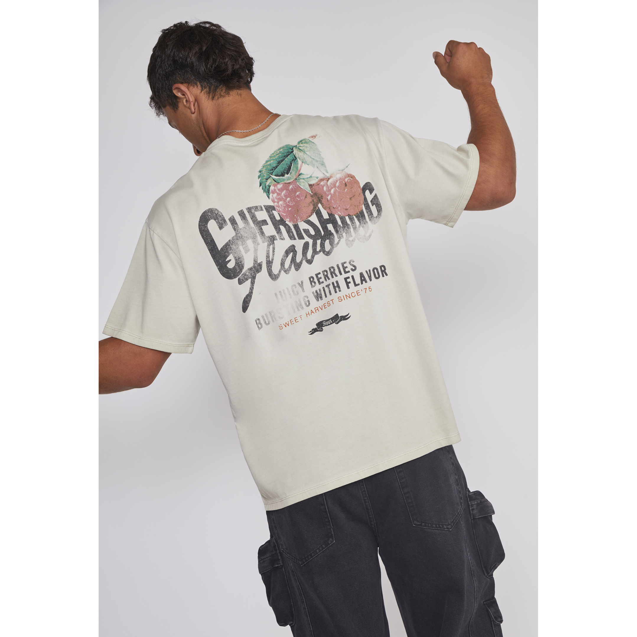 Polera Hombre Berries Beige Sioux 5