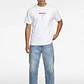 Polera Hombre Flock Dog Blanco - Miniatura 2