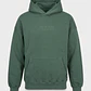 Polerón Hombre Relaxed Print Verde - Miniatura 1