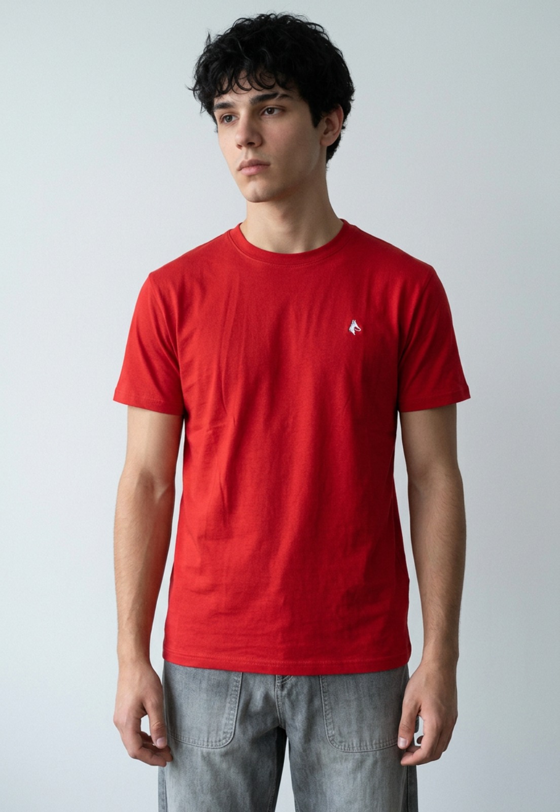 Polera Hombre Bordado Rojo 1