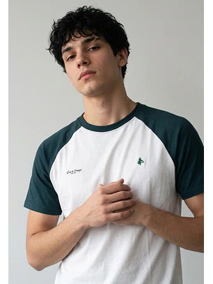 Polera Hombre Bicolor Verde