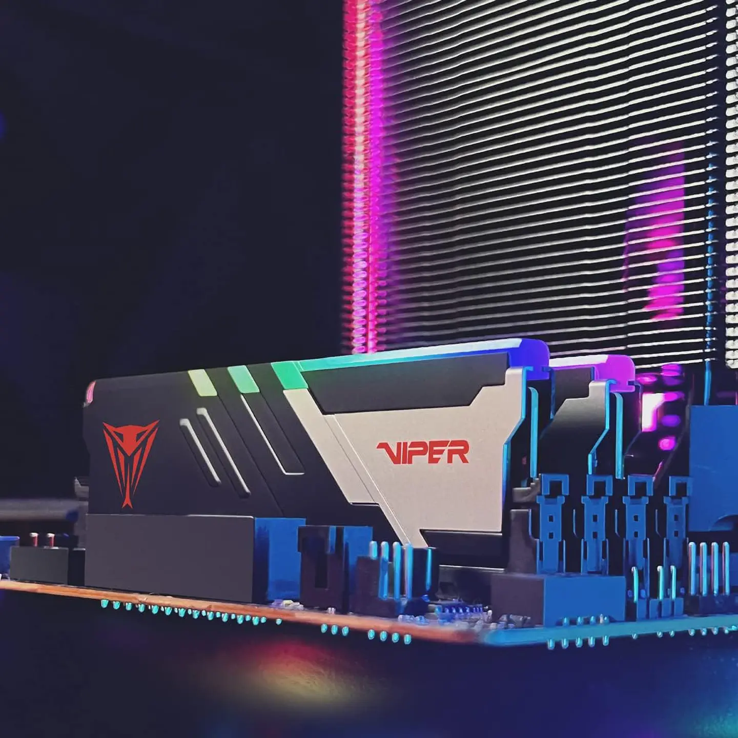 Kit Ram Patriot Viper Venom RGB DDR5 64GB (2x32GB) 5600MHz 6