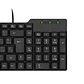 Teclado Silencioso Standar Ultra USB - UT0-K50UP - Miniatura 3