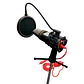 Kit Micrófono Condensador Andowl QY-K222 - Miniatura 1