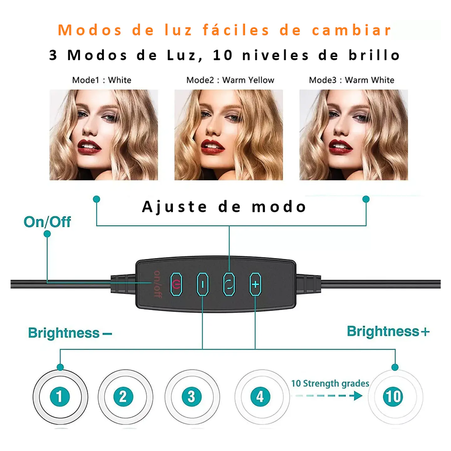 Aro De Luz Led Profesional 26cm + Trípode Reforzado 1.65cm 3