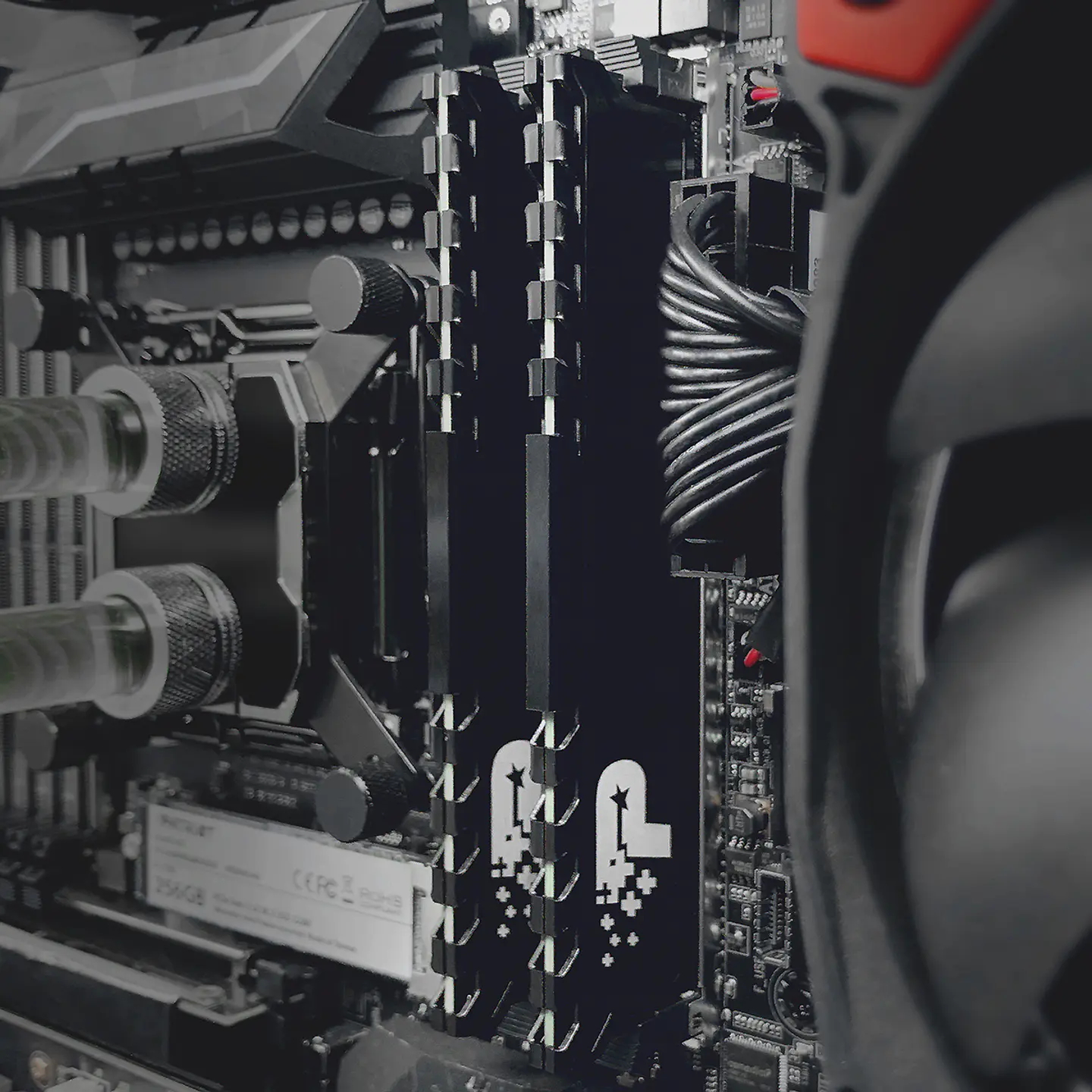 Memoria RAM Patriot Signature Premium PC DDR4 16GB 3200mhz 6