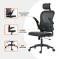 Silla Escritorio Vanto Balance Ergonómica Lumbar Ajustable NG - Miniatura 4