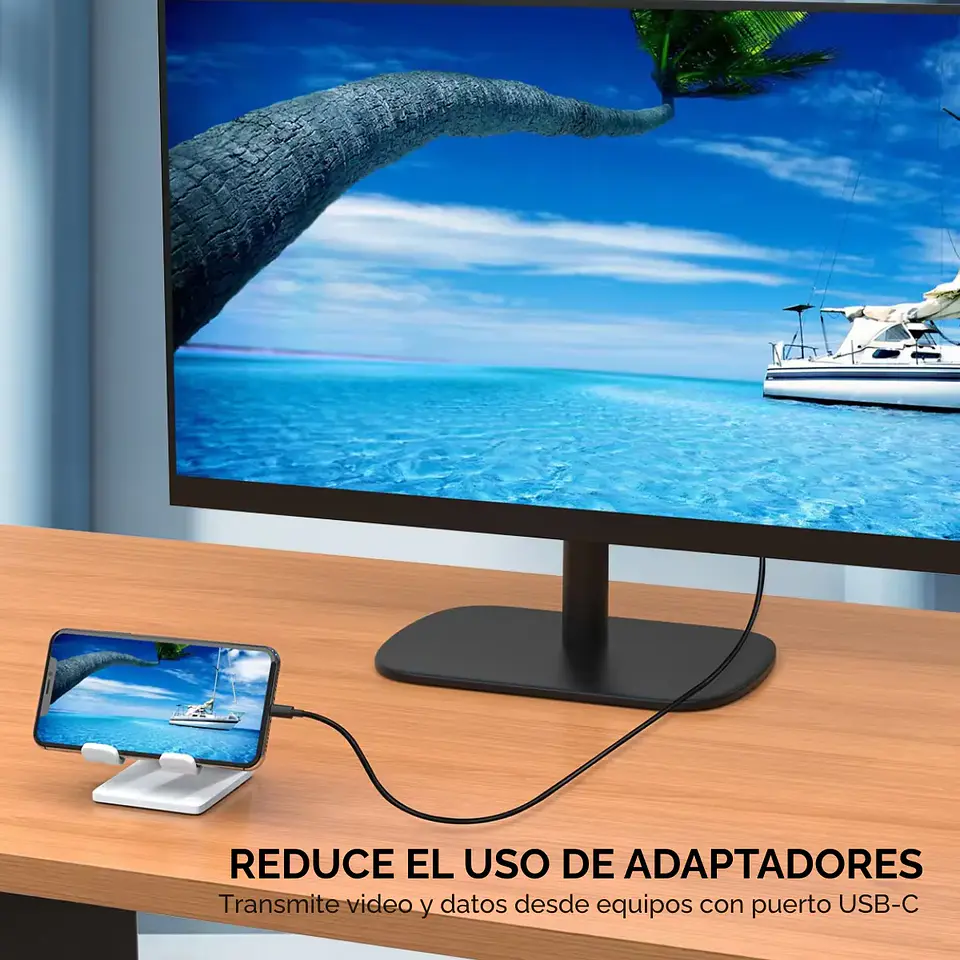 Cable USB Tipo C a DisplayPort 1.4 4K 60Hz 1.8 Mts Win/Mac 3