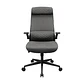 Silla Gamer Cougar Stryder Gray Reclinable 120°, 120 kg - Miniatura 1