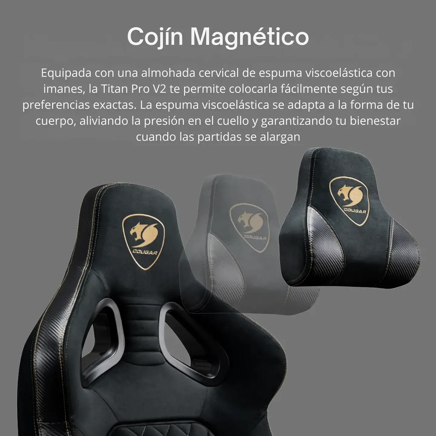 Silla Gamer Cougar Titan Pro V2 Gold F Brazos 4D LiftBack 155° 7