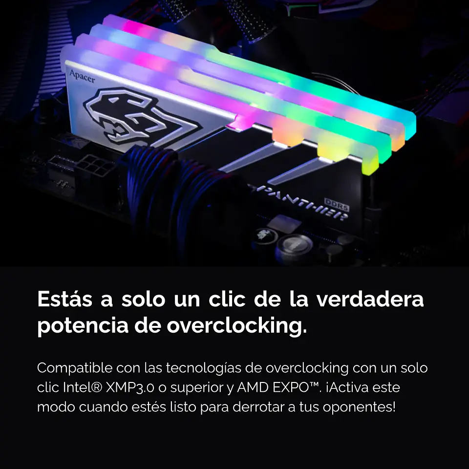 Memoria RAM Apacer Panther 32GB DDR5 6000MT/s RGB, CL38, DIMM  3