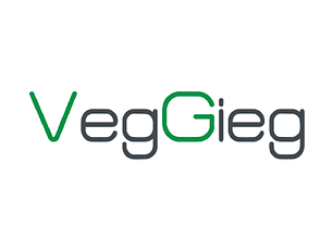 Sitestore: Implementación de tienda de computación y conectividad Veggieg