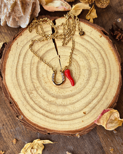 Amuleto de Protección y Corte “Fuerza y Defensa” – Herradura con Ají Consagrado