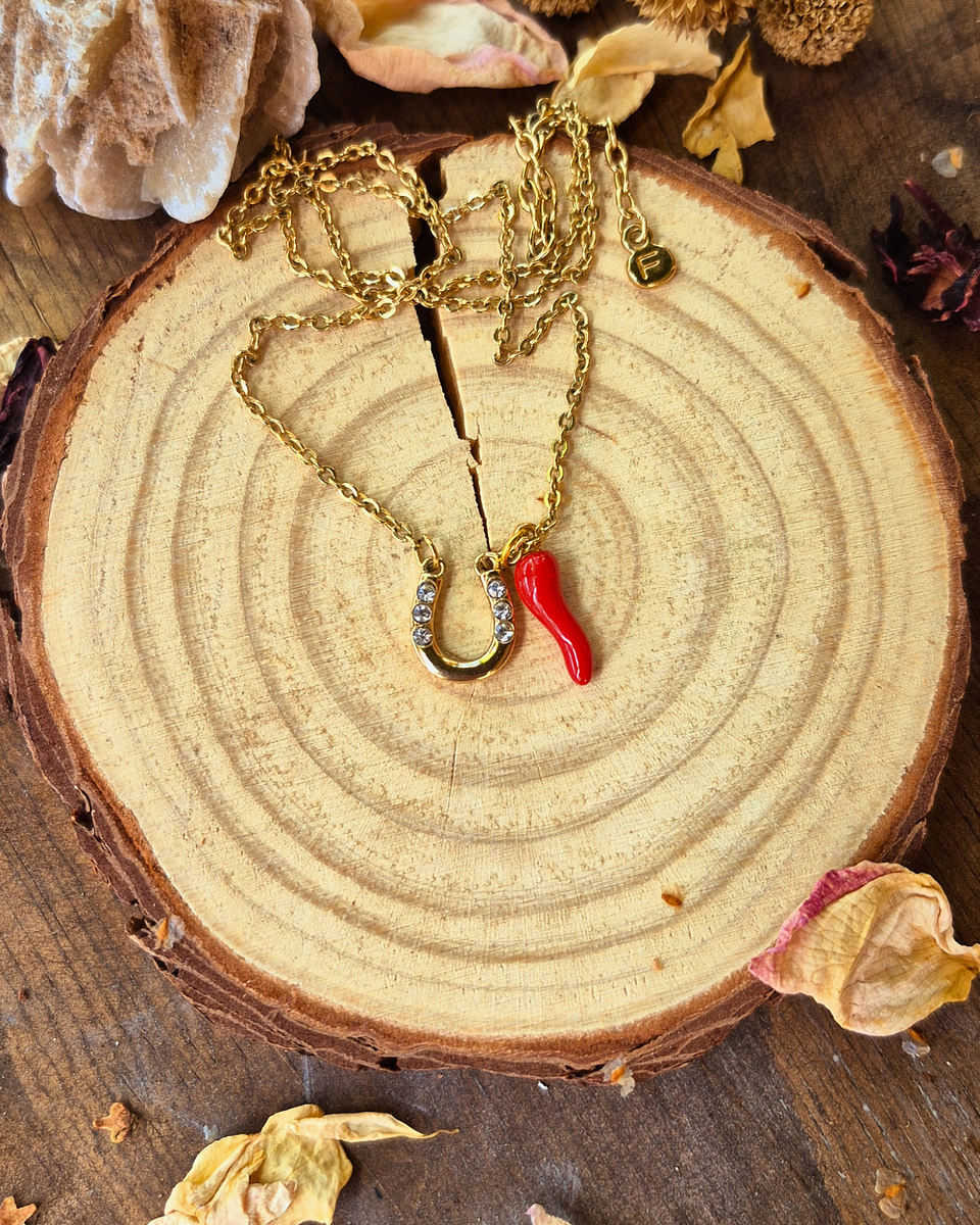 Amuleto de Protección y Corte “Fuerza y Defensa” – Herradura con Ají Consagrado 1