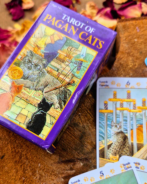Tarot de los Gatos Paganos (Tarot of Pagan Cats)