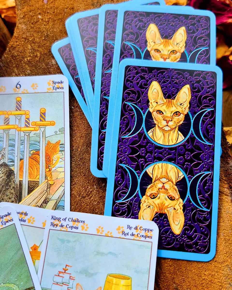 Tarot de los Gatos Paganos (Tarot of Pagan Cats) 2