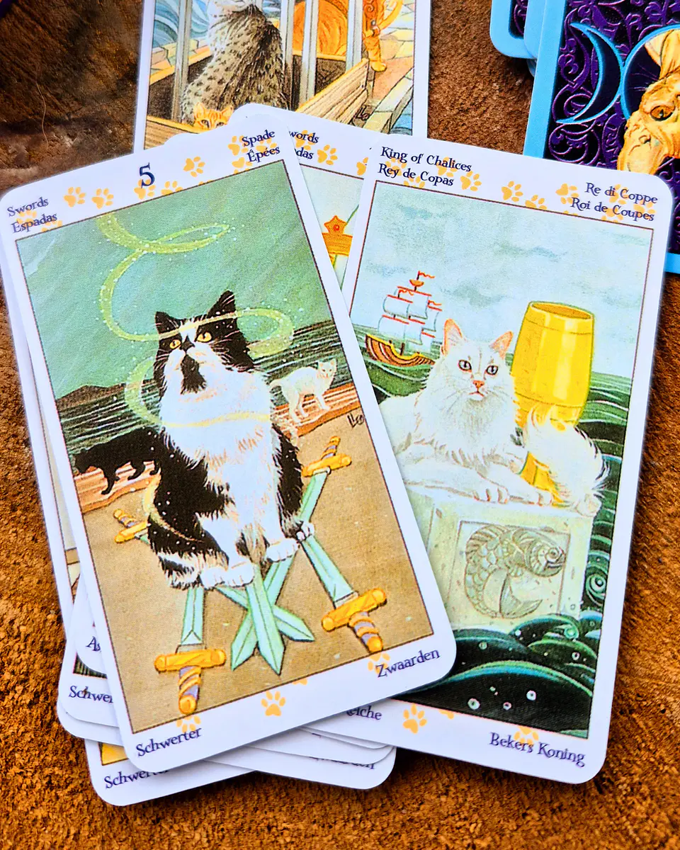 Tarot de los Gatos Paganos (Tarot of Pagan Cats) 3