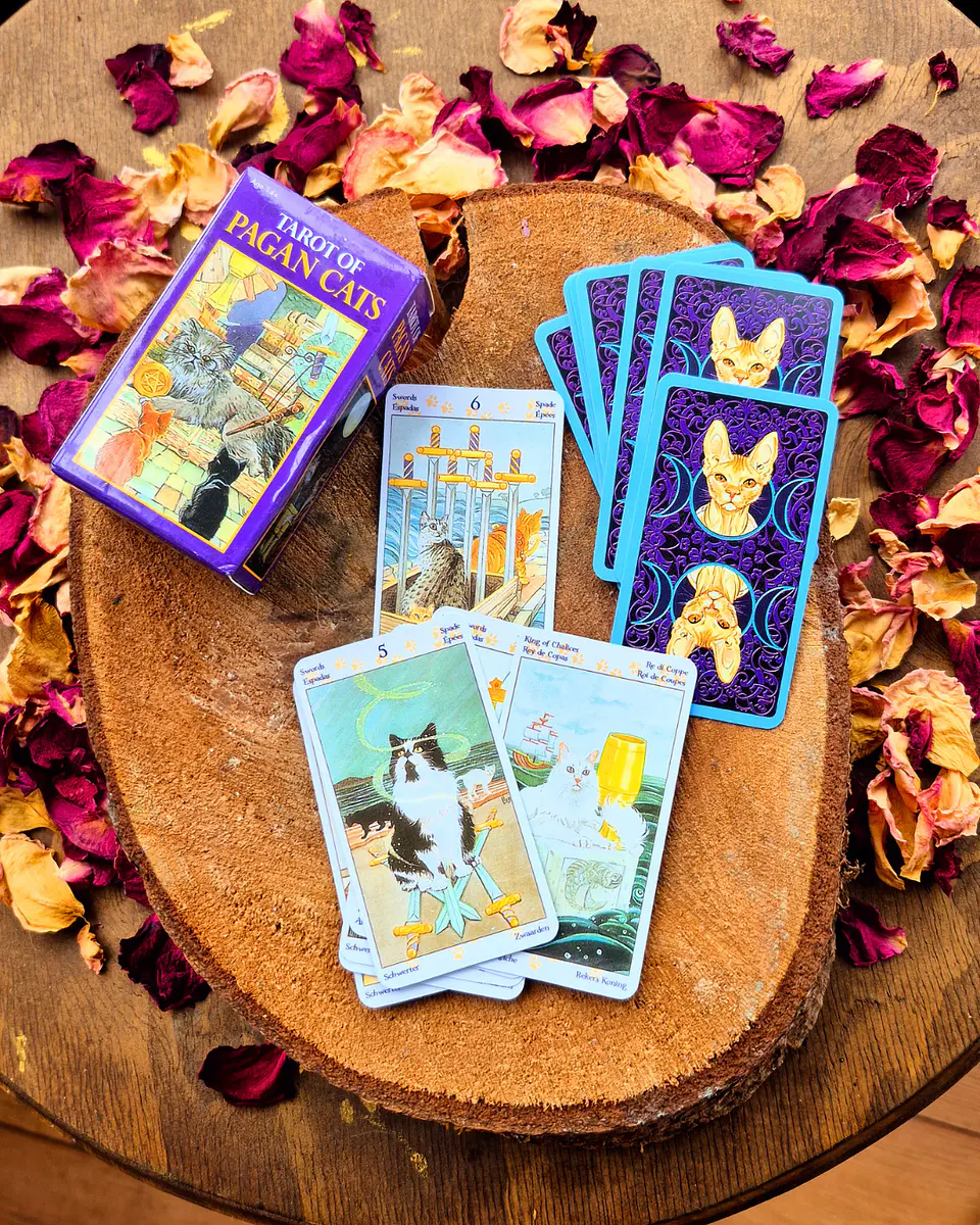 Tarot de los Gatos Paganos (Tarot of Pagan Cats) 4