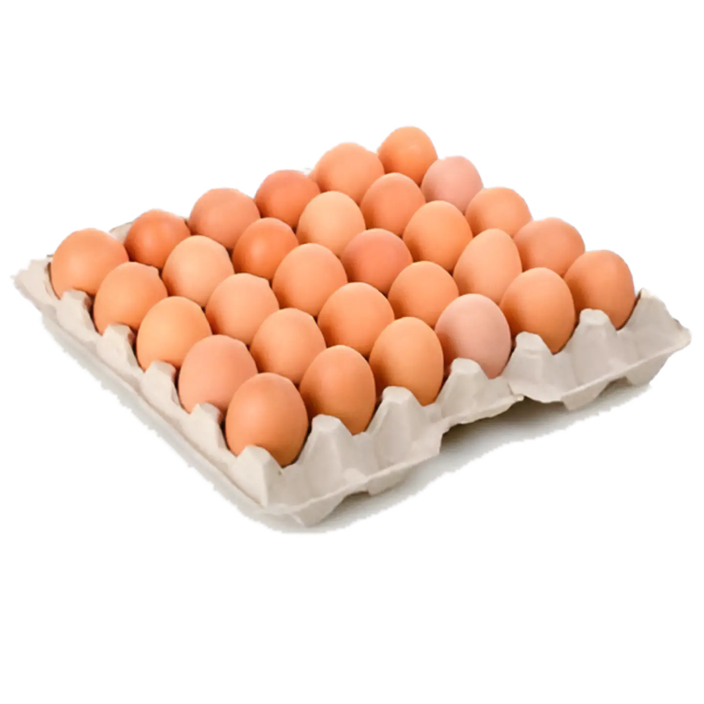 Bandeja Huevo Primera Color 30 Unidades 1