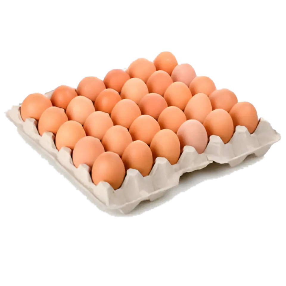 Bandeja Huevo Primera Color 30 Unidades 1