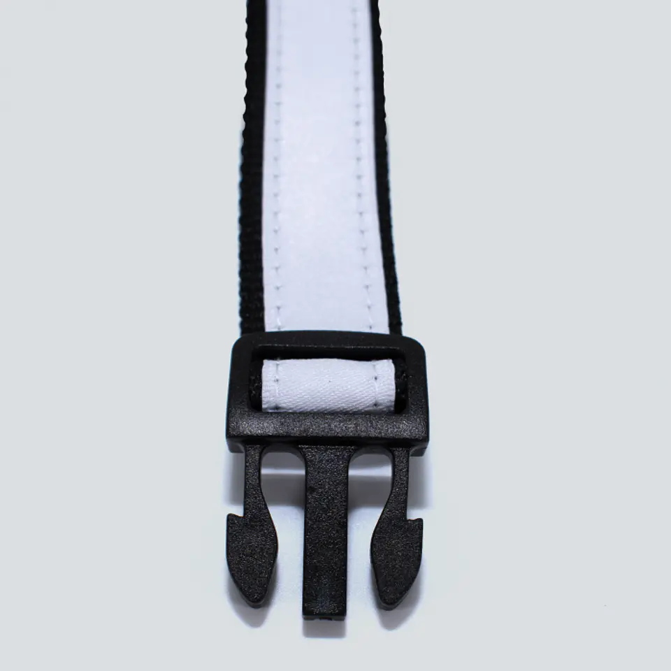 Collar Para Perros Personalizable 2