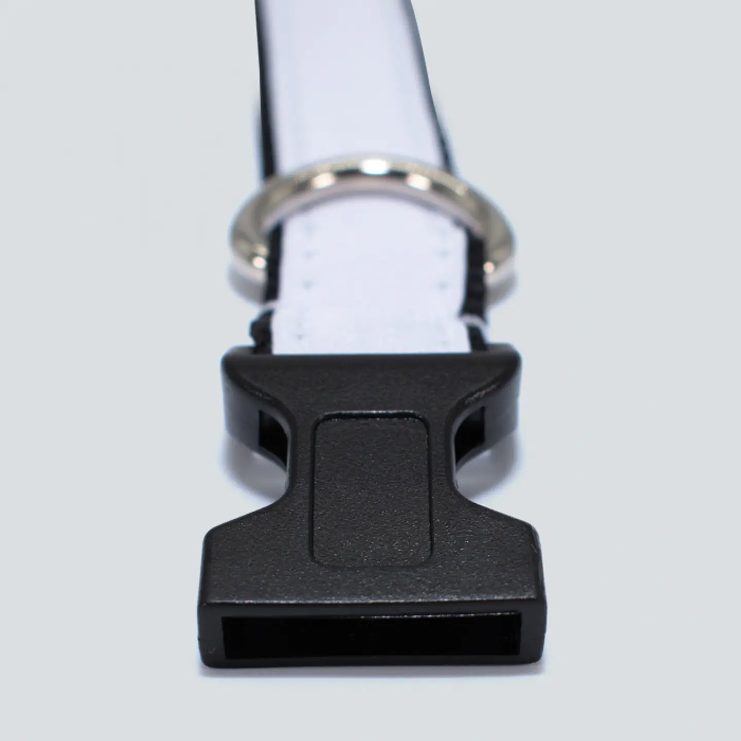 Collar Para Perros Personalizable 3