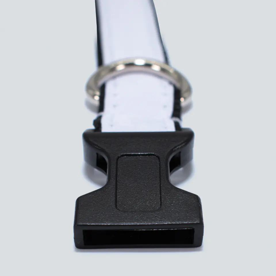 Collar Para Perros Personalizable 3