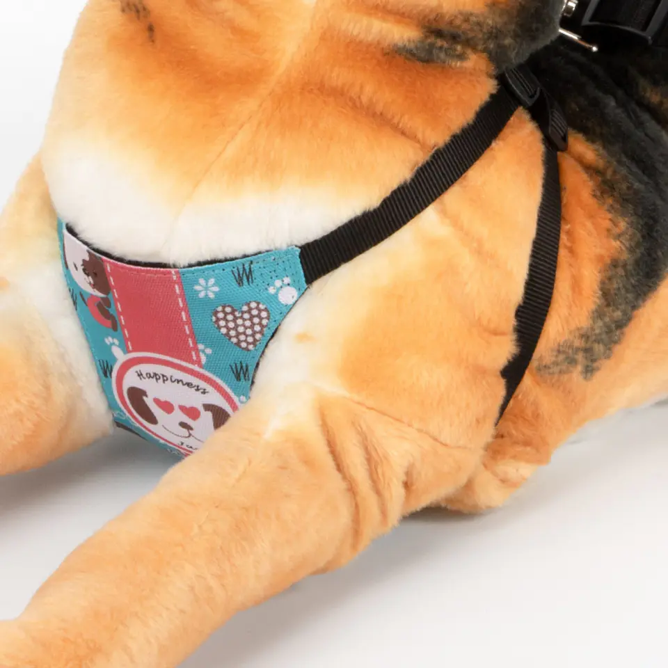 Arnés Para Perros Personalizable 5