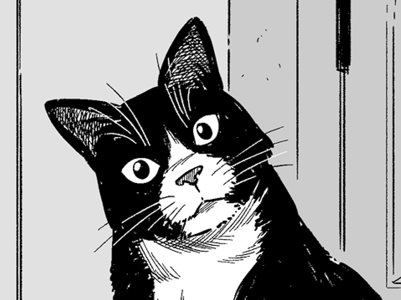 Isekai de clase trabajadora (Franscisco Aguilera) - Novela