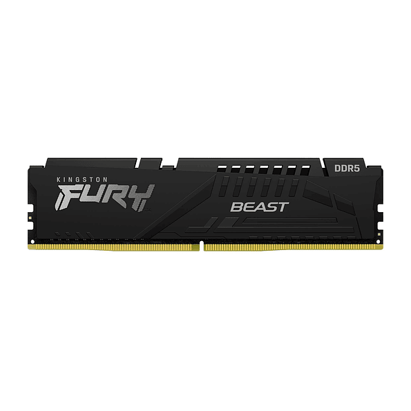 Memoria RAM Kingston Fury Beast DDR5 16GB 5600MHz CL40 Negra 1