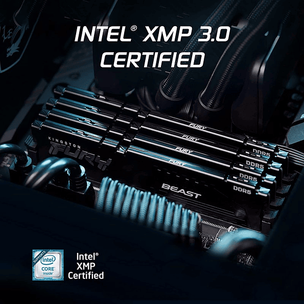 Memoria RAM Kingston Fury Beast DDR5 32GB (2x16GB) 5600MT/s 2