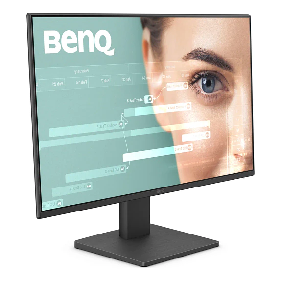 Monitor BenQ GW2491 23.8