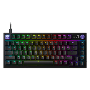Teclado Mecánico Gamer Logitech G316 X 75 RGB Negro (US)
