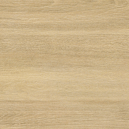 PORCELANATO WOOD MAJA BEIGE WM03