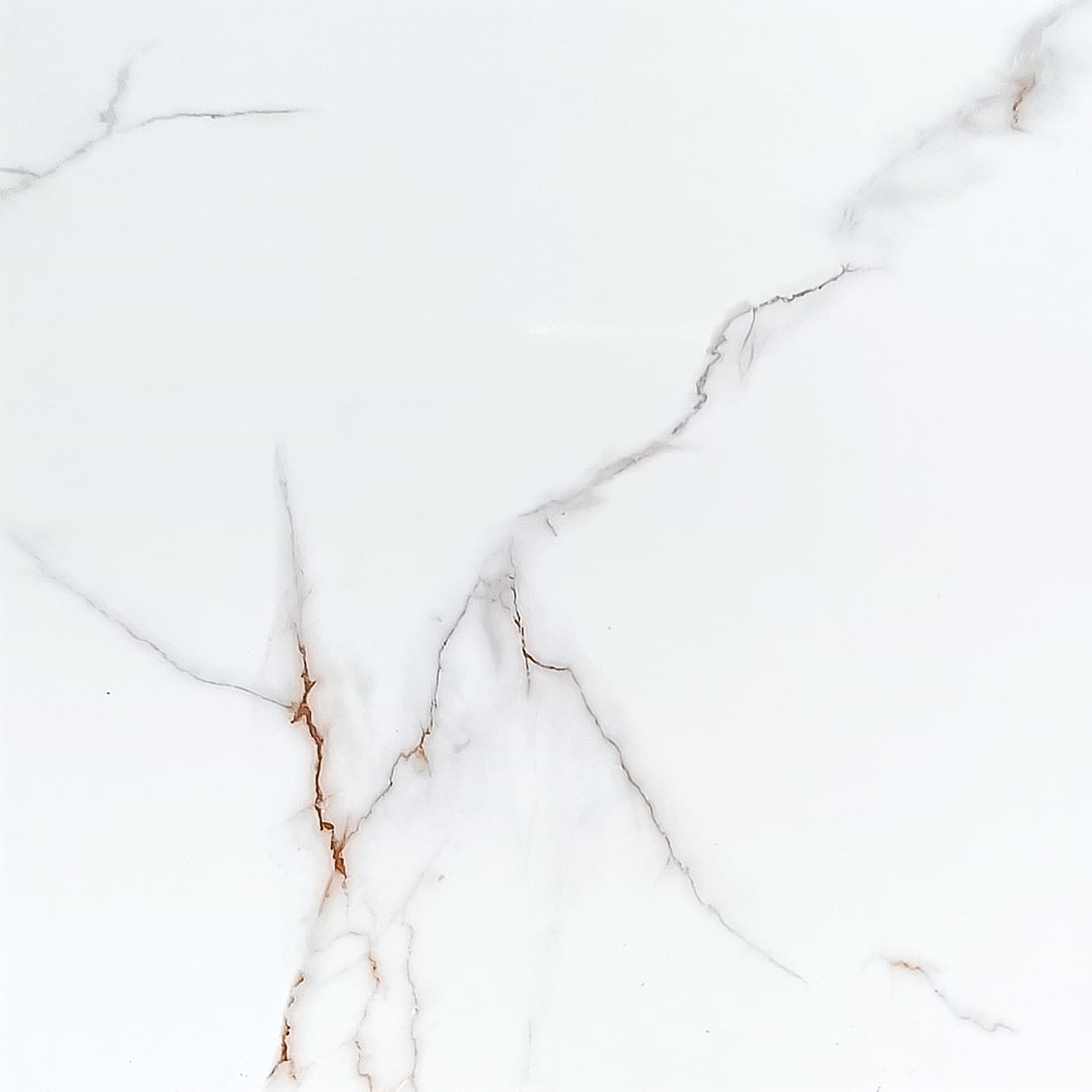 6069 CERAMICA NISA 60X60 RT BRILLANTE 