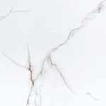 6069 CERAMICA NISA 60X60 RT BRILLANTE 