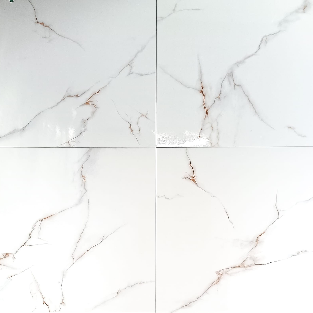 6069 CERAMICA NISA 60X60 RT BRILLANTE 