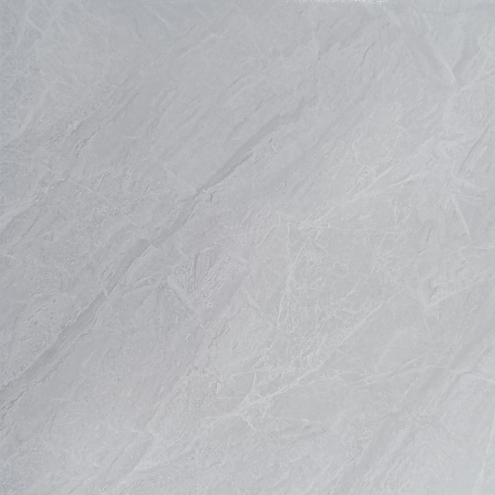 6069 CERAMICA SUR1 60X60 RT BRILLANTE 