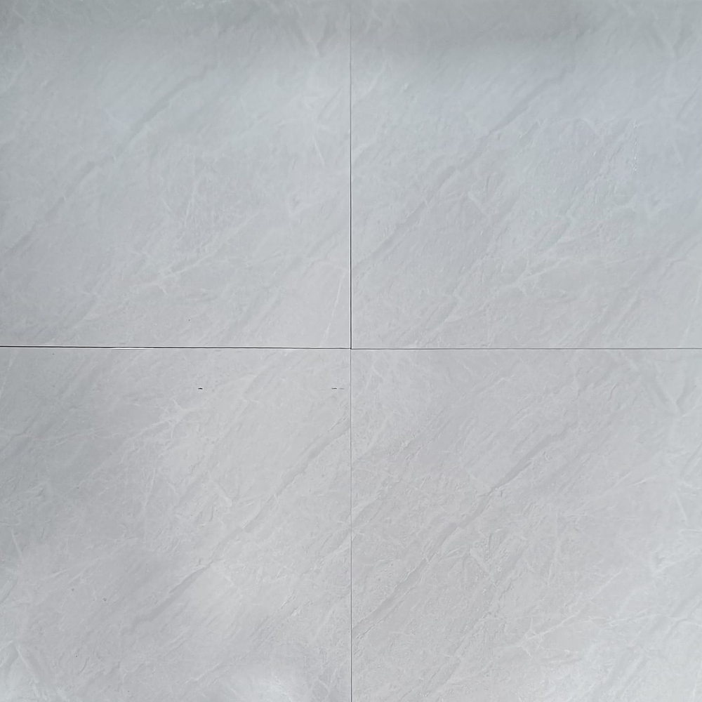 6069 CERAMICA SUR1 60X60 RT BRILLANTE 