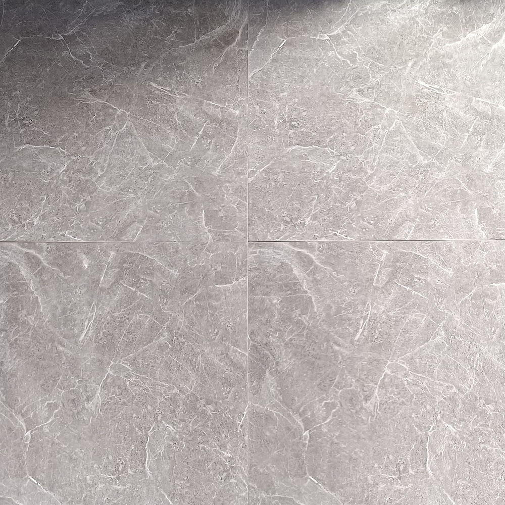 6069 CERAMICA SUR2 60X60 RT BRILLANTE 