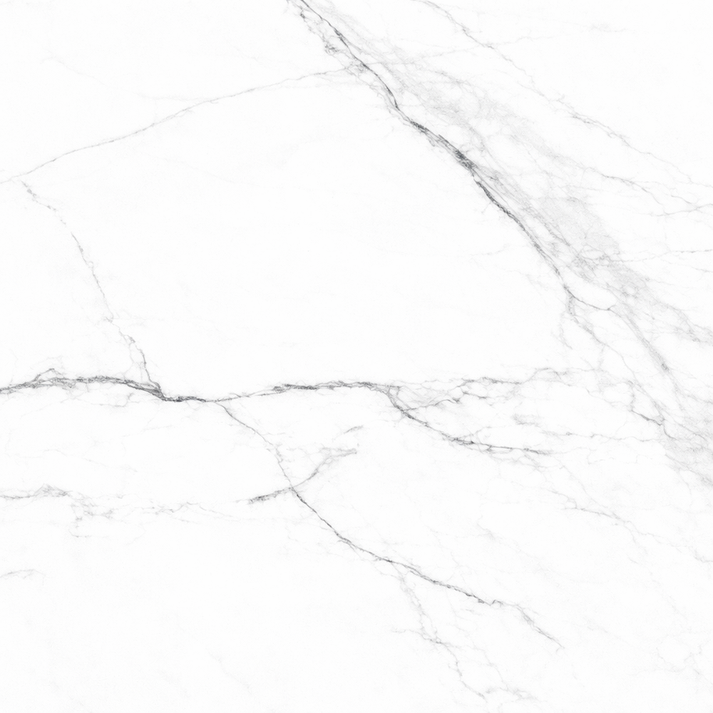 6081 PORCELANATO CARRARA VENICE 60X60 RT PULIDO