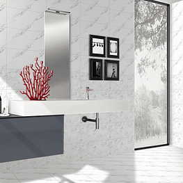 CERAMICA DE MURO 1138 LT 30X60