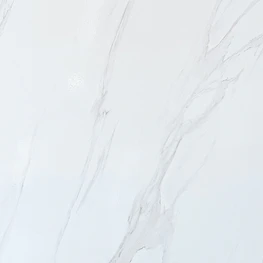 CERAMICA ALDANA 60X60 RT BRILLANTE G8020